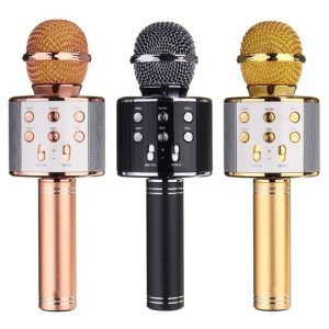 Microfono Kareoke Elton Dinax